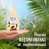 Le Petit Marseillais Jojoba Oil Bio 48H Moisturising Soothing Body Lotion Milk 2 X 250Ml