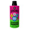 Lola From Rio - Xapadinha - Anti-Breakage Shampoo For Straight Or Straightened Hair Thermal Protecton Fiber Alignment Shine Frizz Reduction 8.45 Fl Oz