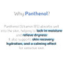 Nano Recipe High-Potency Pure D-Panthenol For Intensive Hydration Calming And Skin Barrier Recovery With Only A Drop In Your Skincare And Haircare Routine 33G 1Fl Oz