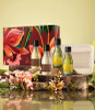 Natura - Murumuru & Maracuj Hair-To-Body Holiday Set Sulfate- Shampoo Conditioner Maracuj Shower Oil & Gel Vegan Moisturizing Hair & Body Care Travel-Friendly Box