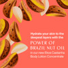 Natura - Brazil Nut Body Lotion Concentrate Castanha Refill