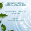 Skin Resq By Petal Fresh Hello Hydration Moisturizer Hydrating Face Cream With 2% Hyaluronic Acid Complex And Jojoba Oil Fragrance Facial Moisturizer For Dry Sensitive Skin Made In Korea 4 Oz