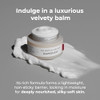 Rawquest Echinacea Calming Moisture Cream For Moisturizing Skin Barrier Repair Antiaging & Hydration With Triple Hyaluronic Adenosine Panthenol For Dry & Sensitive Skin (1.7 Fl Oz/ 50 Ml)