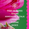 Roger & Gallet Roger&Gallet Beneficial Perfumed Water 100Ml - Women's Perfume With Damascena Rose & Italian Mandarin - Natural Relaxing Fragrance With Essential Oil - Parfum Femme - Natural Ingredients - Rose