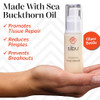 Sibu Sea Buckthorn Nourishing Face Cream (1Oz) Lightweight And Hydrating Face Cream Amazing For Sensitive Skin Breakouts & Irritation