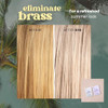 The Beachwaver Co. Brb Blonde Purple Shampoo - Travel Size (3 Oz) Anti-Brass Toning Conditioner W/Hix Vegan Bond Multipliers Moisturizing Sulfate- Formula For Blonde & Grey Hair