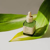 [ Viegano ] Rejuvenating Serum With Bakuchiol Retinol Alternative Bakuchiol + Tocopherol Targets Fines Lines & Wrinkles Korean Skincare For Elasticity & Uneven Texture 100% Vegan 35 Ml