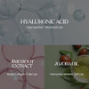 Vt Cosmetics Reedle Shot Lip Plumper Hydrating & Volumizing Clear Lip Gloss Microneedling Effect & Hyaluronic Acid For Fuller Smoother Lips 0.15 Oz (4.3 G) (Beginner)