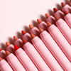 Young Vision Foam Lipliner Set - 12 Ultra-Smooth Waterproof Matte Lip Liners Long-Lasting Smudge-Proof & Vegan Lip Pencil Kit For Precise Contouring Set For Women/Girls