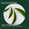 Aveda Eucalyptus Essential Oil Base Fresh Aroma For Body & Bath 1 Fl Oz