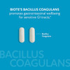 Biote Nutraceuticals - Bacillus Coagulans - Gut Digestive (60 Capsules)