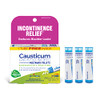 Boiron Causticum 30C Homeopathic Medicine For Incontinence Relief And Reduces Bladder Leaks - 3 Count (240 Pellets)