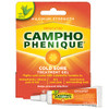 Campho-Phenique Cold Sore Treatment 0.23 Oz & Dentek 150 Count Triple Clean Advanced Clean No Break & No Shred Floss Picks
