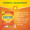 Campho-Phenique Cold Sore Treatment 0.23 Oz & Dentek 150 Count Triple Clean Advanced Clean No Break & No Shred Floss Picks