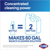Clorox Concentrated Bleach Powder 21.1 Oz