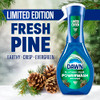 Dawn Powerwash Spray Dish Soap Dishwashing Liquid Cleaning Supplies Fresh Pine 1 Starter Kit 16 Fl Oz