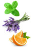 Doterra Adaptiv Calming Blend Essential Oil 15Ml