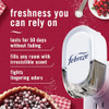 Febreze Plug In Air Freshener Odor-Fighting Scented Oil Refill Holiday Mix 3 Refills Clear