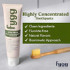Fygg Fluoride-Free Toothpaste Mild Mint & Coconut (4Oz) Nano-Hydroxyapatite Formula For Sensitive Teeth Whitening And Enamel Repair