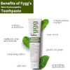 Fygg Fluoride-Free Toothpaste Mild Mint & Coconut (4Oz) Nano-Hydroxyapatite Formula For Sensitive Teeth Whitening And Enamel Repair