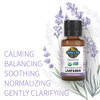 Garden Of Life Essential Oils Starter Pack (Lavender Peppermint Lemon Tea Tree) 2 Fl Oz Liquid (60 Ml) - Set Of 4-0.5 Fl Oz Bottles 100 Usda Organic & Pure Non-Gmo For Diffuser Aromatherapy