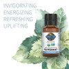 Garden Of Life Essential Oils Starter Pack (Lavender Peppermint Lemon Tea Tree) 2 Fl Oz Liquid (60 Ml) - Set Of 4-0.5 Fl Oz Bottles 100 Usda Organic & Pure Non-Gmo For Diffuser Aromatherapy