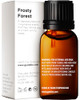 Gya Labs Frosty Forest Essential Oil Blend - Revitalizing & Invigorating (0.34 Fl Oz)