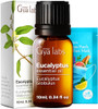 Gya Labs Frankincense Oil For Skin & Eucalyptus Essential Oil For Diffuser Set - Aromatherapy Grade Essential Oils Set - 2X0.34 Fl Oz - Gya Labs