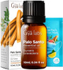 Gya Labs Palo Santo Essential Oil For Diffuser & Lavender Oil Essential Oil For Diffuser Set - Aromatherapy Grade Essential Oils Set - 2X10Ml - Gya Labs