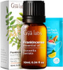Gya Labs Frankincense Oil For Skin & Lavender Essential Oil For Diffuser Set - Aromatherapy Grade Essential Oils Set - 2X0.34 Fl Oz - Gya Labs