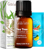 Gya Labs Pine Essential Oils For Diffuser & Tea Tree Oil For Skin Set - Aromatherapy Grade Essential Oils Set - 2X0.34 Fl Oz - Gya Labs