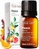 Gya Labs Peace Essential Oil Blend For Diffuser Aromatherapy Candle Making & Diy - Ingredients Of Frankincense Grapefruit & Patchouli (0.34 Fl Oz)