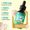 Gya Labs Lion'S Mane Extract Liquid Drops - Mushroom Supplement For Memory And Cognitive Clarity - Enhances Cognitive Function And Sharpness - Non-Gmo Sugar & Alcohol Free 1 Fl Oz