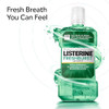 Listerine Freshburst Antiseptic Mouthwash For Bad Breath Kills 99 Of Germs That Cause Bad Breath & Fight Plaque & Gingivitis Ada Accepted Mouthwash Spearmint 500 Ml