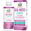 Maryruth'S Maryruth Organics Sea Moss Immune & Energy Liposomal Irish Sea Moss Vitamin B12 Vitamin E Elderberry Rose Hip Oil Orange Oil Immune Support Supplement Vegan Sugar Free 7.6 Oz