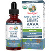 Maryruth'S Kava Root Liquid Extract For Calm & Relaxation Nervine & Adaptogenic Herbal Blend Usda Organic Sugar Free Gluten Free Vegan Non-Gmo Ages 14 1 Oz 30 Day Supply