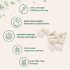 Micro Ingredients Pure Vitamin C 2000Mg 240 Veggie Capsules Highly Bioavailable Fat & Water Soluble Forms Max Potency Antioxidant & Immune Support Supplement Easily Absorbed Non-Gmo Filler Free