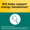 Nature Made Digestive Probiotics And Energy B12 Gummies Probiotics For Women And Men 50 Probiotic Gummies 25 Day Supply