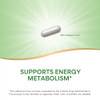 Nature'S Way 7-Keto Dhea Metabolite Supports Energy Metabolism 25 Mg Potency Per Serving Gluten Free Vegan 60 Capsules (Packaging May Vary)