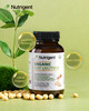 Nutrigent Usda Organic Soy Lecithin Supplement 800 Mg High Absorption Liquid Organic Capsules Choline Lecithin Supplement For Brain & Liver Health Support Non-Gmo Gluten Free 60 Count