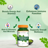 Pure Nutrition Organic Moringa 1200Mg 120 Veg Tablets Usda Certified Organic Superfood With Vitamins Minerals And Essential Antioxidants Vegan Supplement Non-Gmo