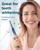 Rtauys Sonic Electric Toothbrush For Adults - Rechargeable 41000 Vibrations Per Minute Teeth Whitening 8 Brush Heads 24 Months Of Usage Blue