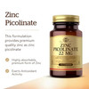 Solgar Zinc Picolinate 22 Mg 100 Tablets - Promotes Healthy Skin - Supports Immune System Normal Taste & Vision - Antioxidant Non-Gmo Vegan Gluten Free Kosher 100 Servings