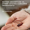 Solgar Full Spectrum Curcumin - 90 Licaps - Superior Absorption - Brain Joint & Immune Health - Non-Gmo Vegan Gluten Free Dairy Free 90 Servings