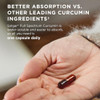 Solgar Full Spectrum Curcumin - 30 Licaps - Superior Absorption - Brain Joint & Immune Health - Non-Gmo Vegan Gluten Free Dairy Free 30 Servings