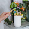 Treebird Kids Bamboo Toothbrush 6-Pack Extra Soft Bristles For Children Small Brush Head & Easy-Grip Handle Colorful Wooden Toothbrushes