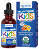 The Feel Great Vitamin Company Feel Great Vitamins Organic Multivitamin Liquid Drops For Toddlers & Kids | Daily Essential Nutrients For Healthy Growth | No Iron Sugar-Free | Usda Organic Vegan Non-Gmo Gluten-Free 2 Fl Oz