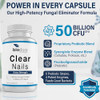 Biodora Oral Probiotic Antifungal Pills - Extra Strength Nail Fungus Eliminator | Toenail Fungal Inhibitor - Clear Nails Supplement | 50 Billion Cfu (60 Capsules)
