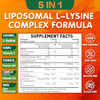 Geeoasis Liposomal L-Lysine Gummies 1200Mg Lysine Chewable Supplement With Vitamin C D3 B12 & Zinc For Adults & Kids Immune & Collagen Support Lips & Skin Health Vegan Natural Fruit Flavor 60Ct