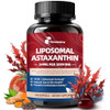 Femmetra Liposomal Astaxanthin Supplements 24Mg With Lycopene For Eye Skin & Immune Health 10-In-1 Max Strength Astaxanthin Antioxidant Supplement Fresh Microalgae Source Non-Gmo 120 Softgels